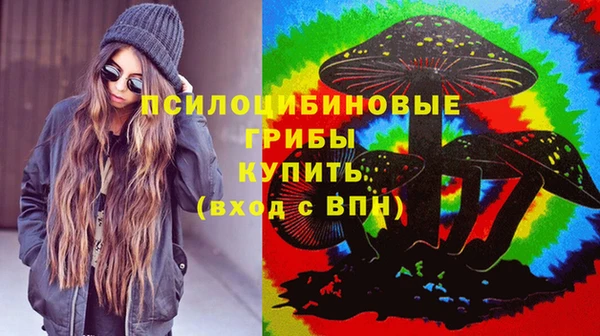 ALPHA PVP Армянск