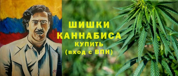 apvp Аркадак