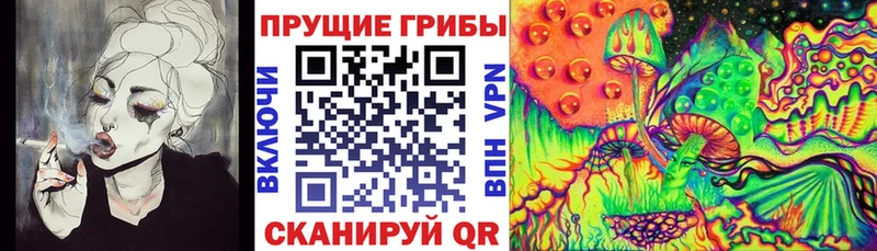 что такое   Фатеж  Галлюциногенные грибы ЛСД 